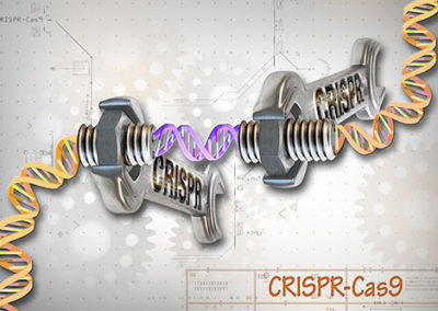 CRISPR Technology – How It Has Changed Biological Research   Session Chair: Emmanuelle Charpentier, Max Planck Institute